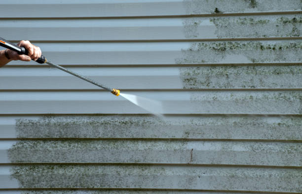 Best Pressure Washing Cost  in Shadeland, IN