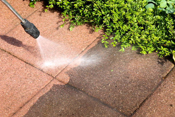 Best Pressure Washing Near Me  in Shadeland, IN